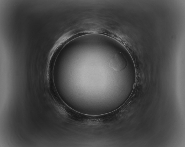 X0000087740296200705071058
