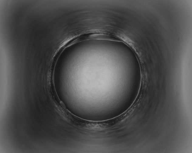 X0000087740297200705071058