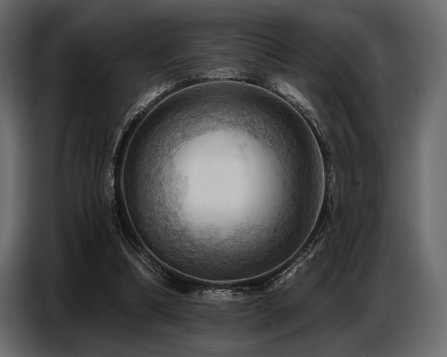 X0000087740298200705071058