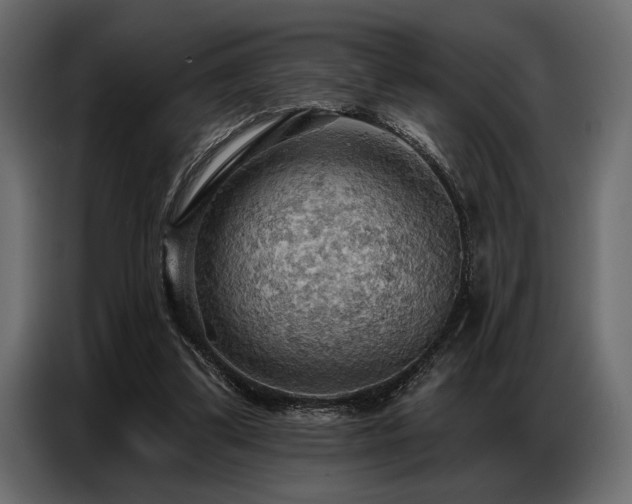 X0000087740299200705071058