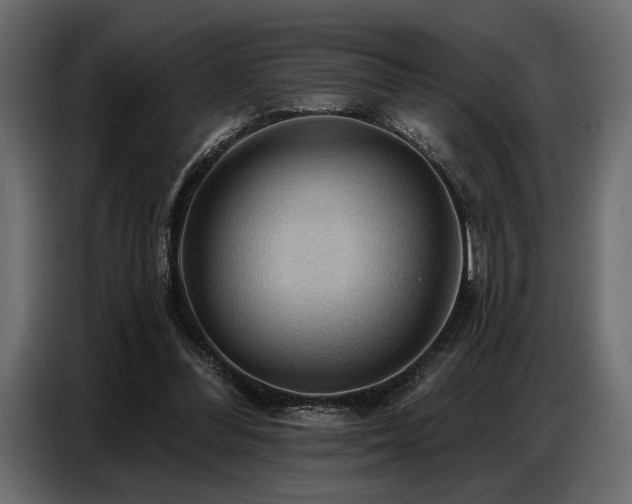 X0000087740300200705071058