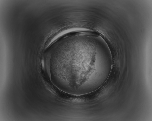 X0000087740303200705071058