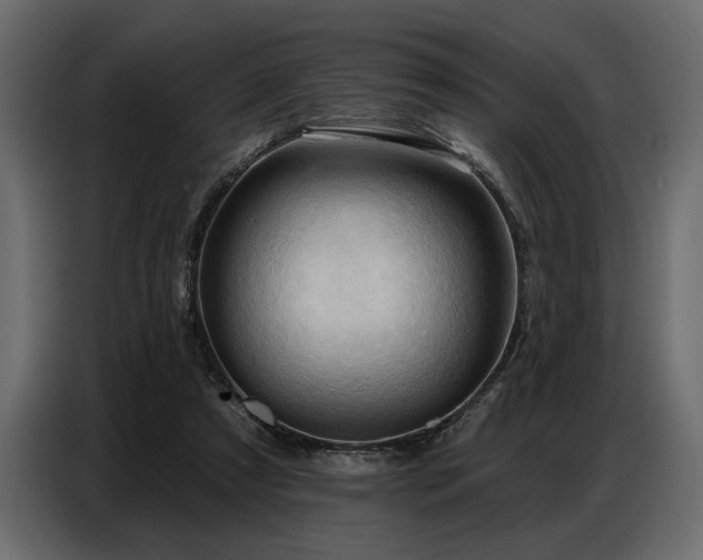 X0000087740305200705071058