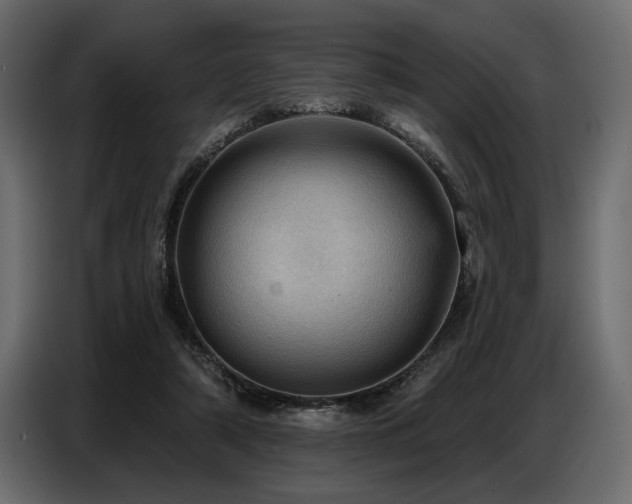 X0000087740306200705071058