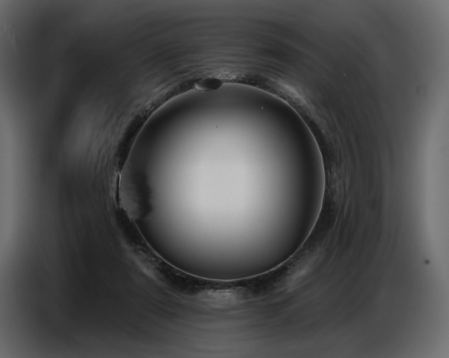X0000087740307200705071058