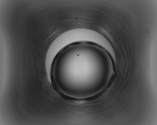 X0000087740313200705071058