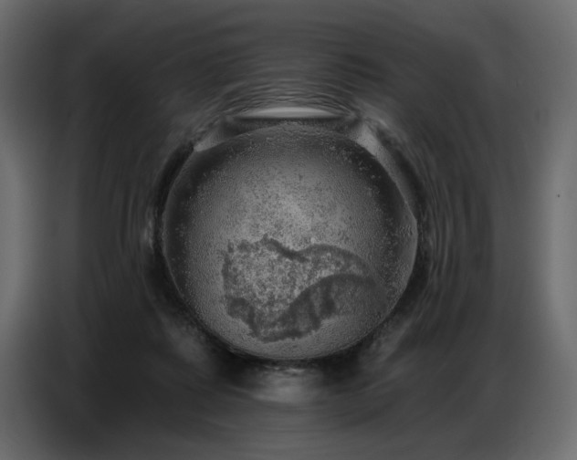X0000087740315200705071058