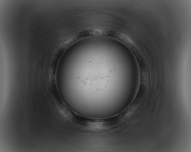 X0000087740318200705071058