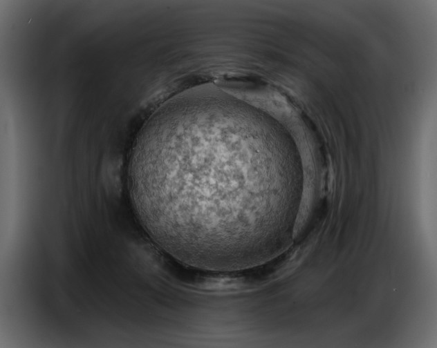 X0000087740319200705071058