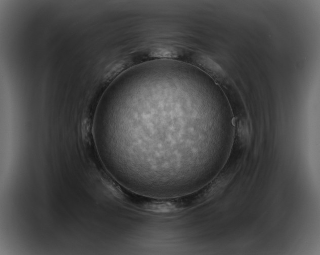 X0000087740322200705071058