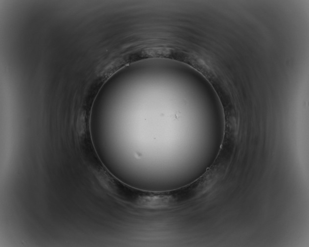X0000087740323200705071058