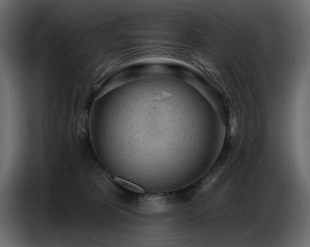 X0000087740325200705071058