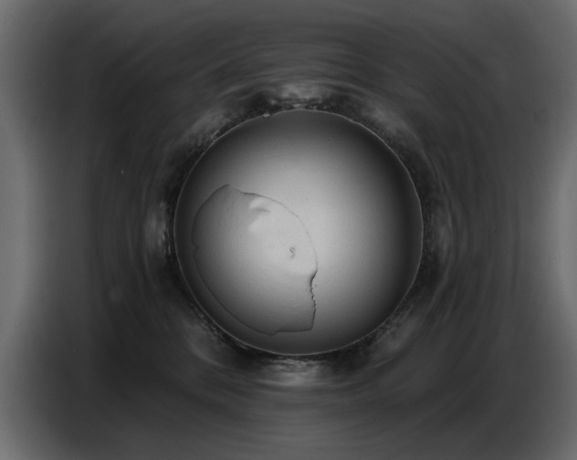 X0000087740328200705071058