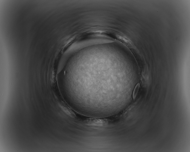 X0000087740330200705071058