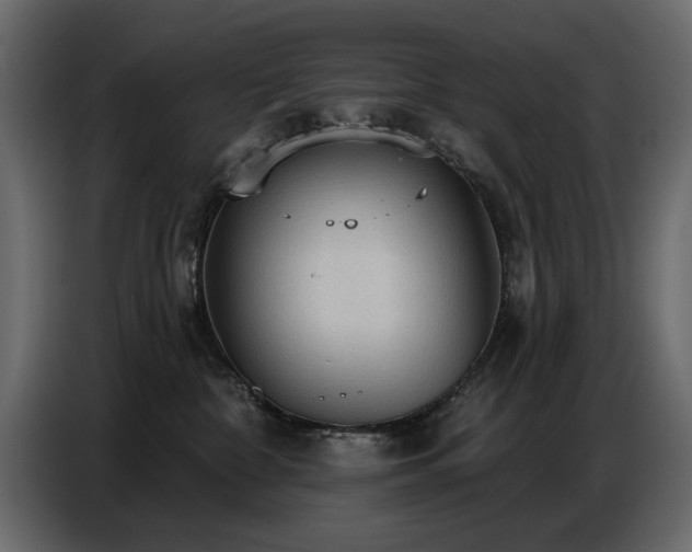 X0000087740332200705071058