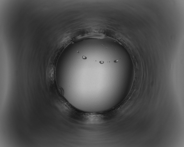 X0000087740336200705071058