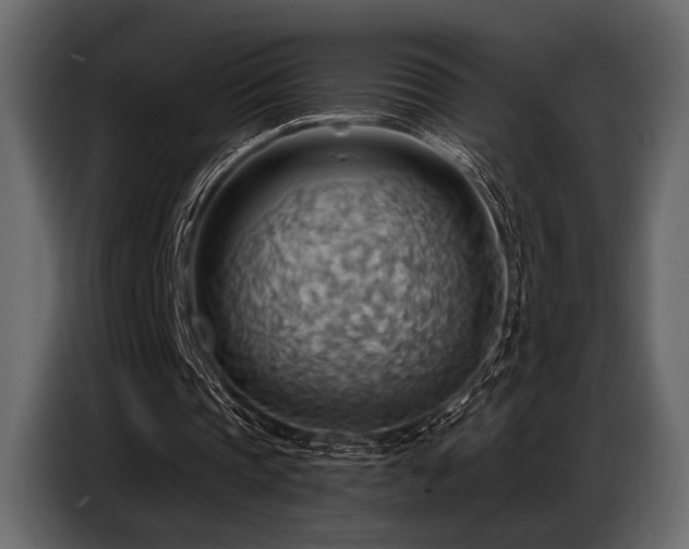 X0000087740337200705071057