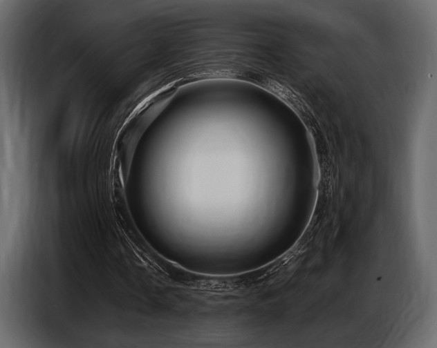 X0000087740338200705071057