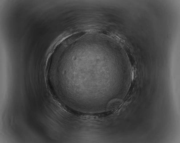 X0000087740339200705071057