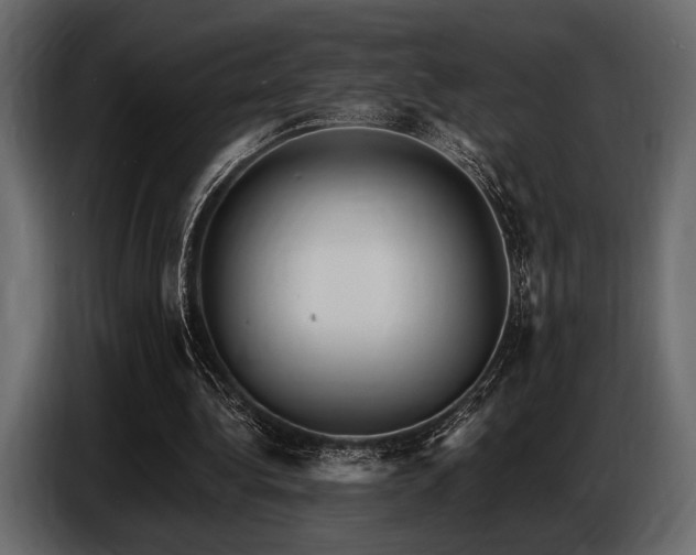 X0000087740340200705071057