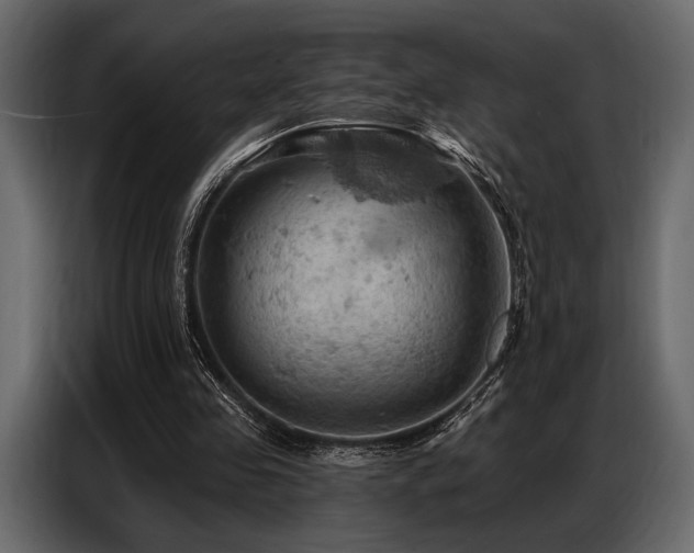 X0000087740341200705071057
