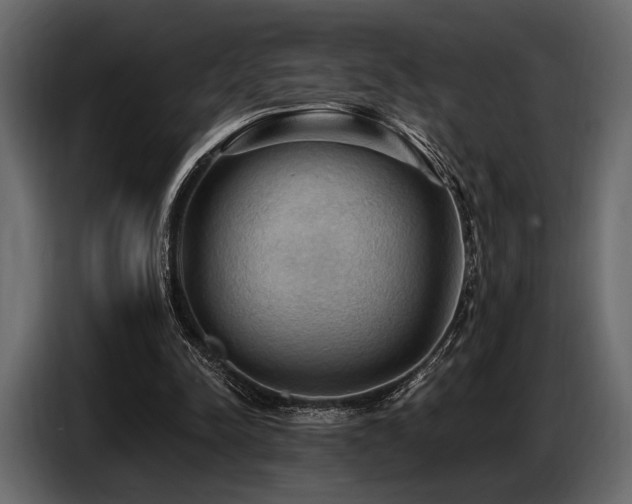 X0000087740342200705071057