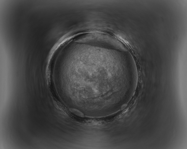 X0000087740343200705071057