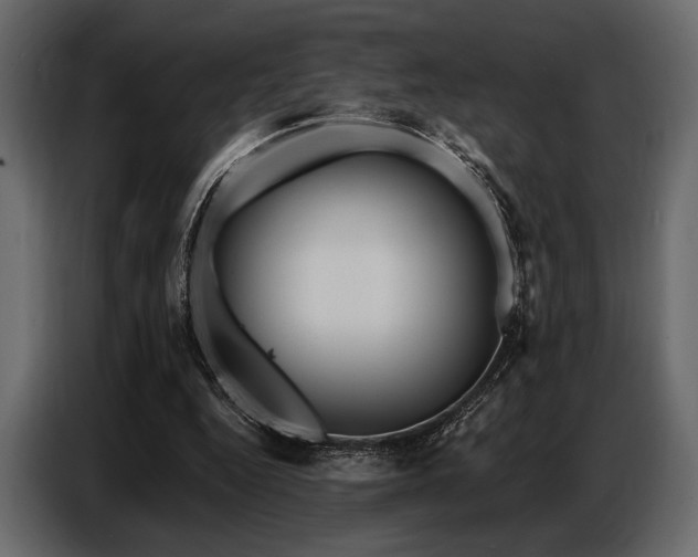 X0000087740344200705071057