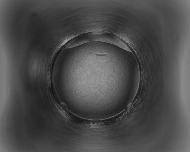 X0000087740345200705071057