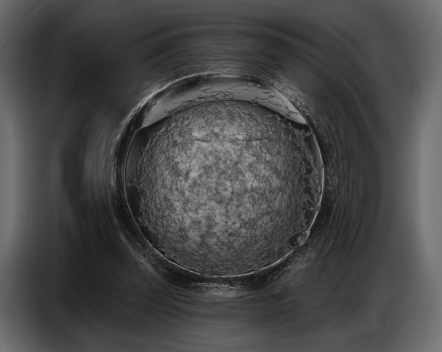 X0000087740347200705071057