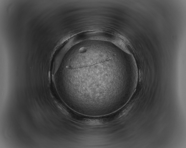 X0000087740349200705071057