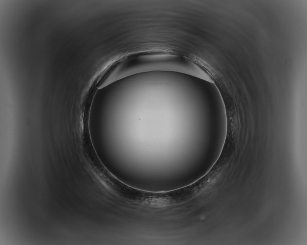 X0000087740350200705071057