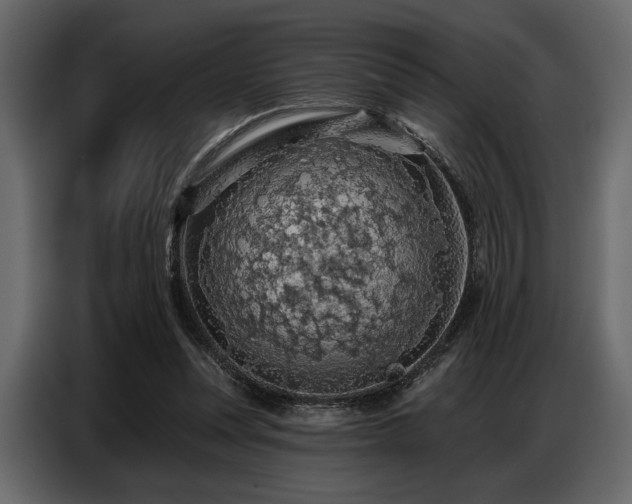 X0000087740351200705071057