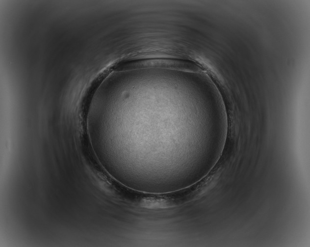 X0000087740354200705071057