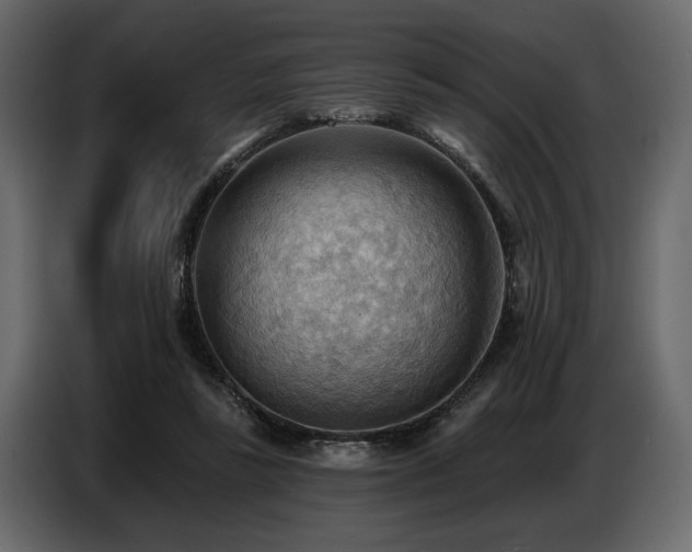 X0000087740355200705071057