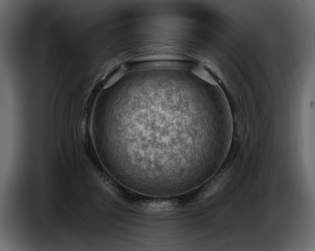 X0000087740357200705071057