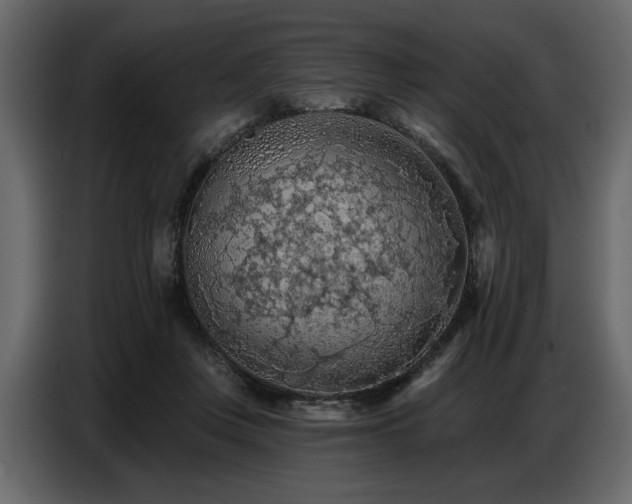 X0000087740359200705071057