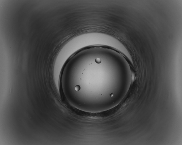 X0000087740360200705071057