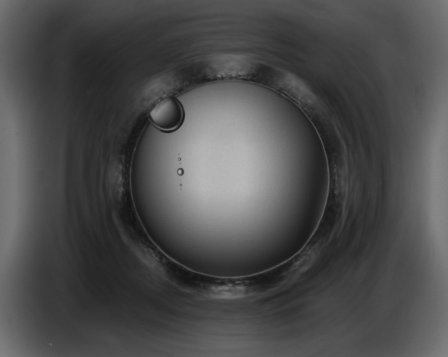 X0000087740362200705071057