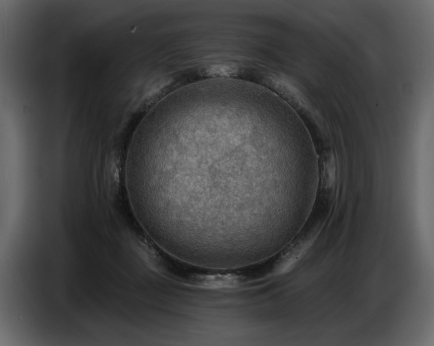 X0000087740363200705071057
