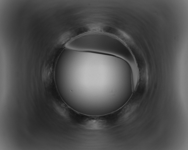 X0000087740364200705071057