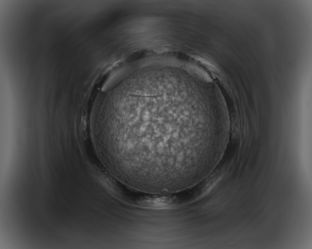 X0000087740365200705071057
