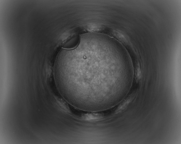 X0000087740367200705071058