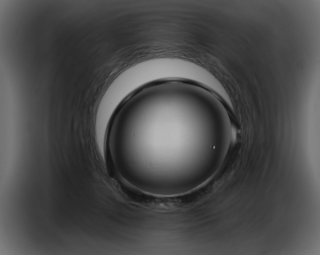 X0000087740368200705071058