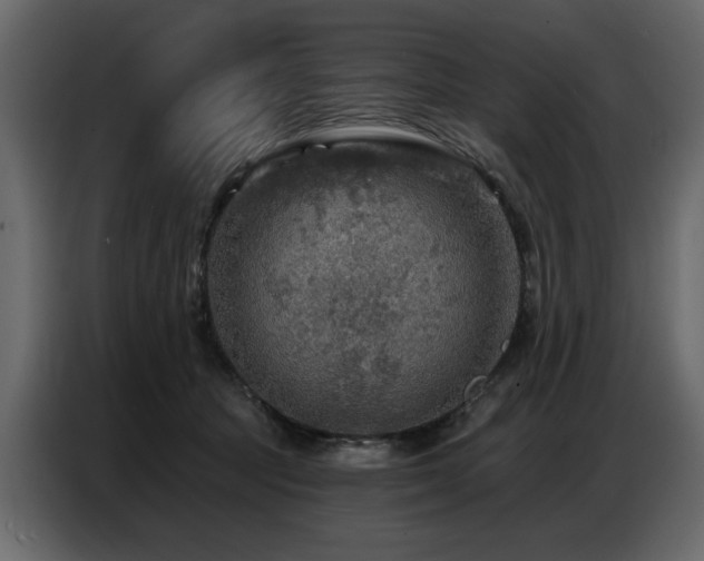 X0000087740369200705071058