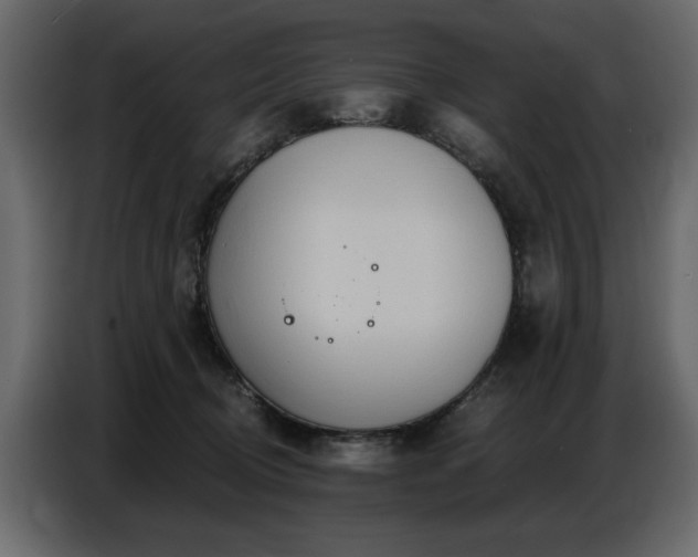 X0000087740370200705071058