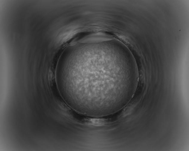 X0000087740371200705071058