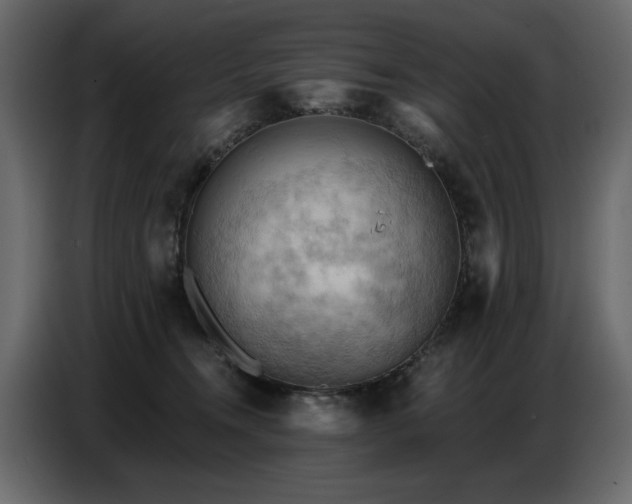 X0000087740372200705071058