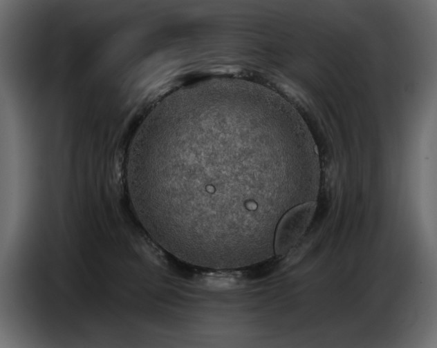 X0000087740373200705071058
