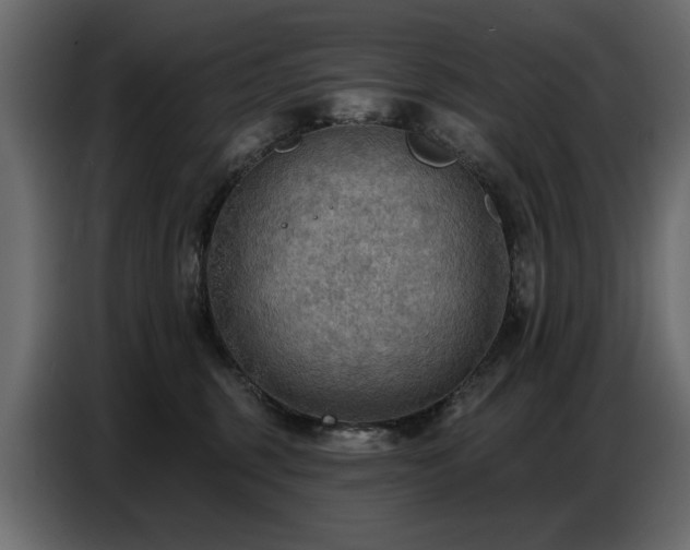 X0000087740375200705071058